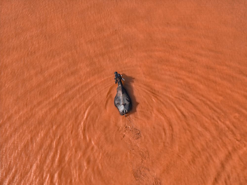 Mud bath bliss.