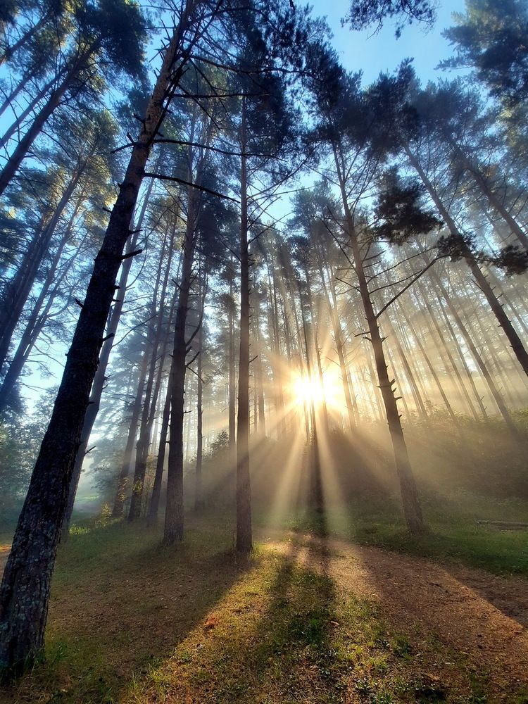 Photograph by Александр Лазебник