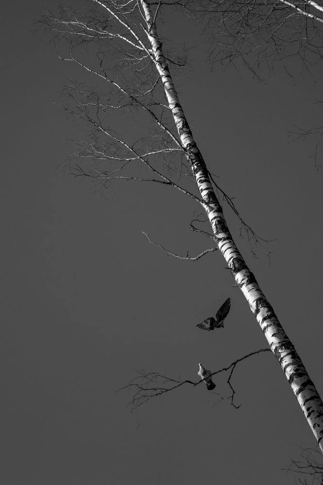 Photograph by Илья Краснов