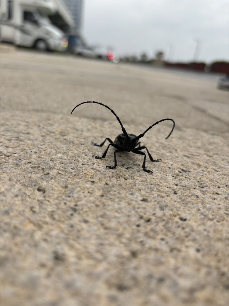 Photograph by Екатерина Прядко