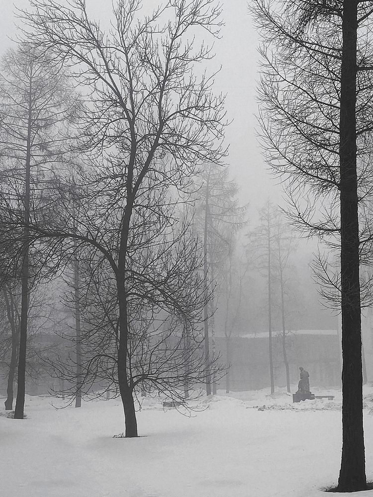 Photograph by Людмила Новосёлова