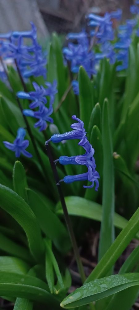 Photograph by Лидия Кротько