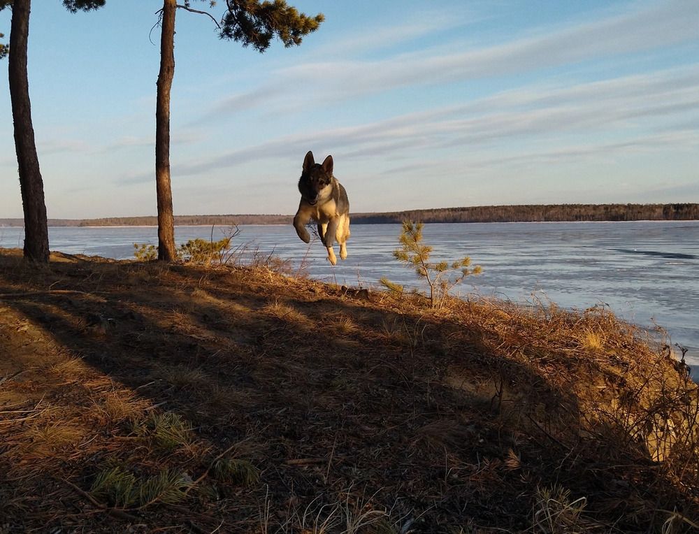 Photograph by Александра Волкова