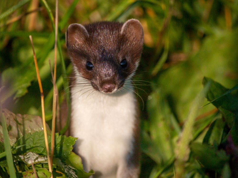 Photograph by Тимофей Черепанов