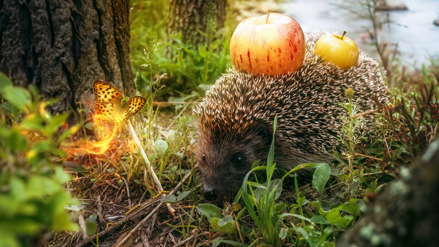 Фотография #12105925