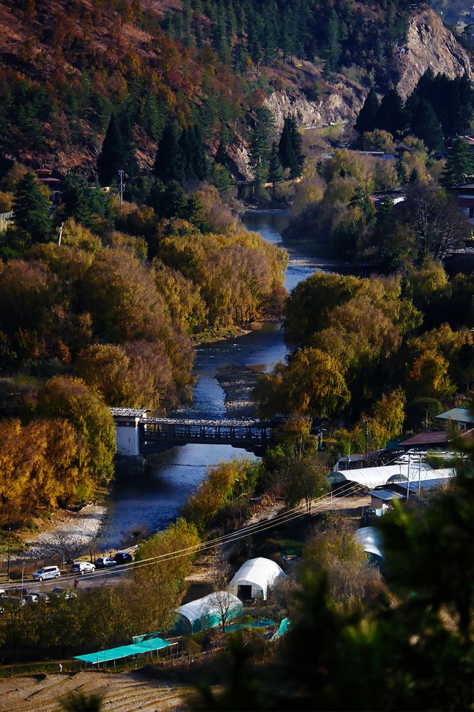 Photograph by Dechen Namgay