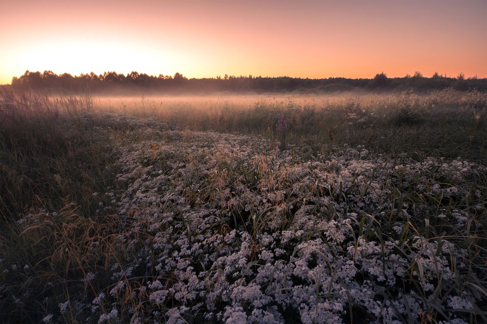 Photograph by Nephotograph