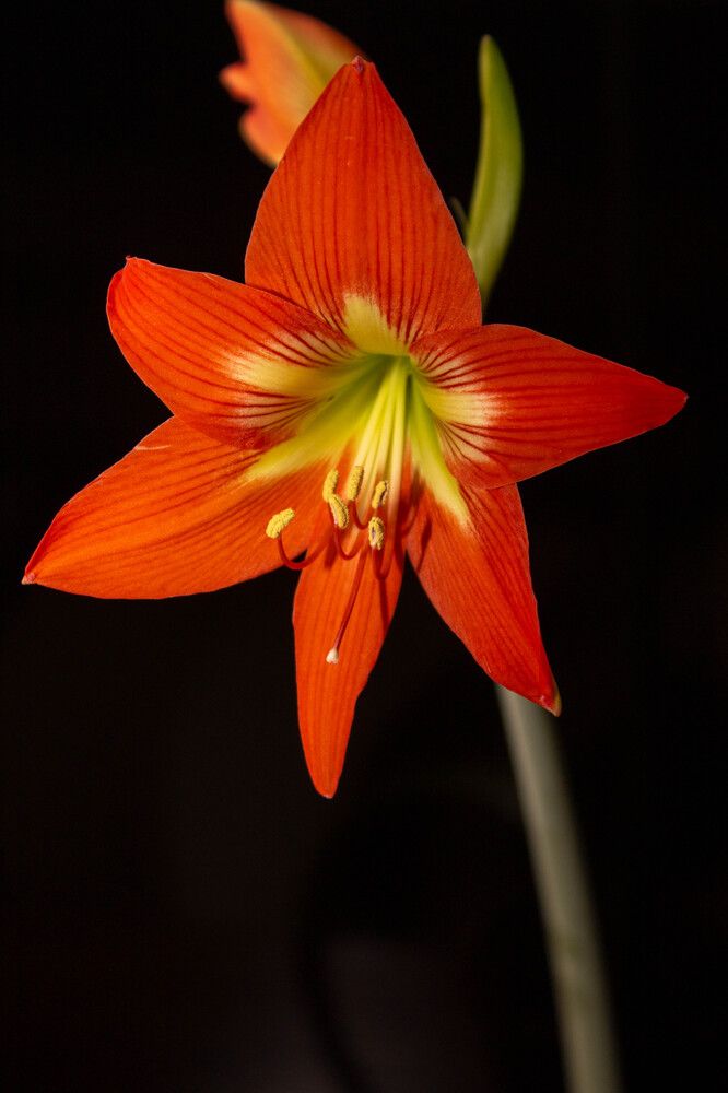 Photograph by Сергей Махницкий