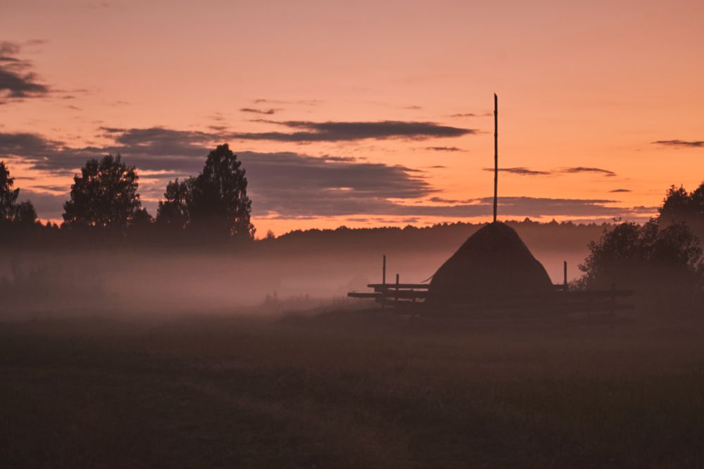 Photograph by Nephotograph