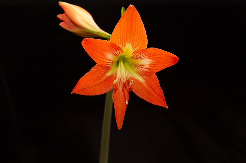Photograph by Сергей Махницкий