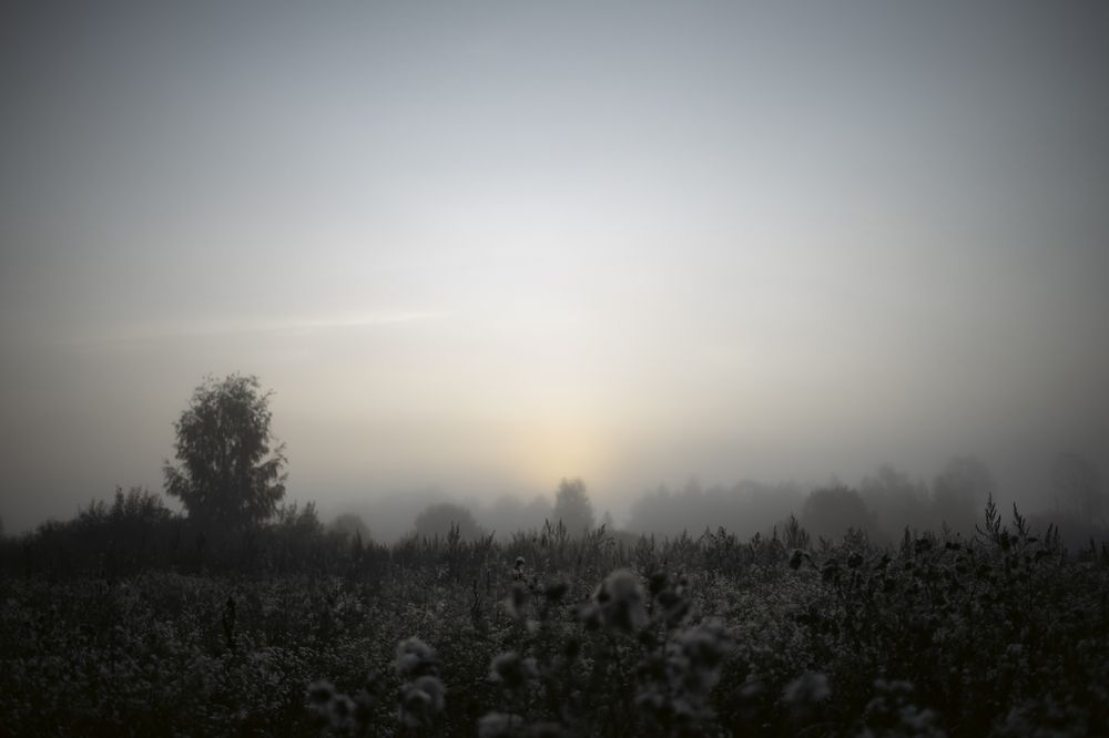 Photograph by Светлана