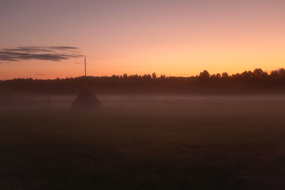 Photograph by Nephotograph