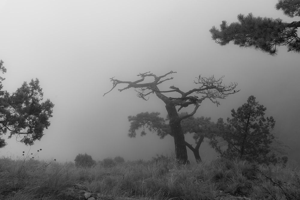 Photograph by Вадим Качанов