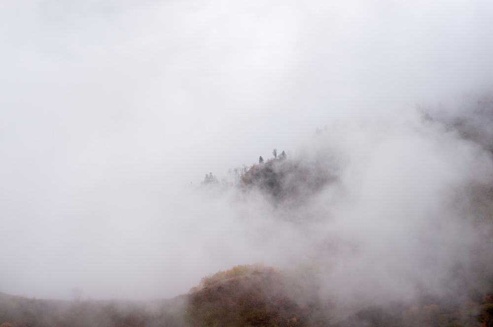 Photograph by Максим Захаров