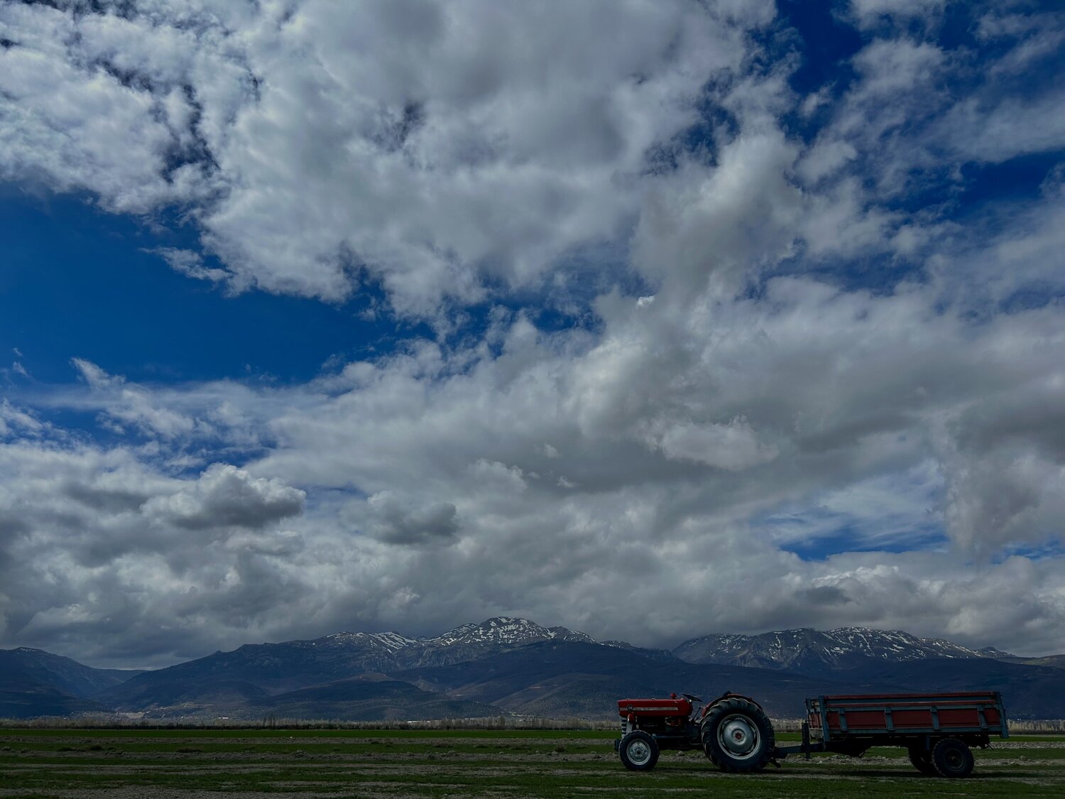 Photo #12106156