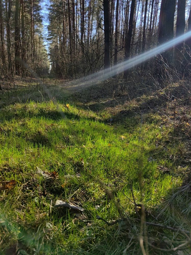 Photo #12106253