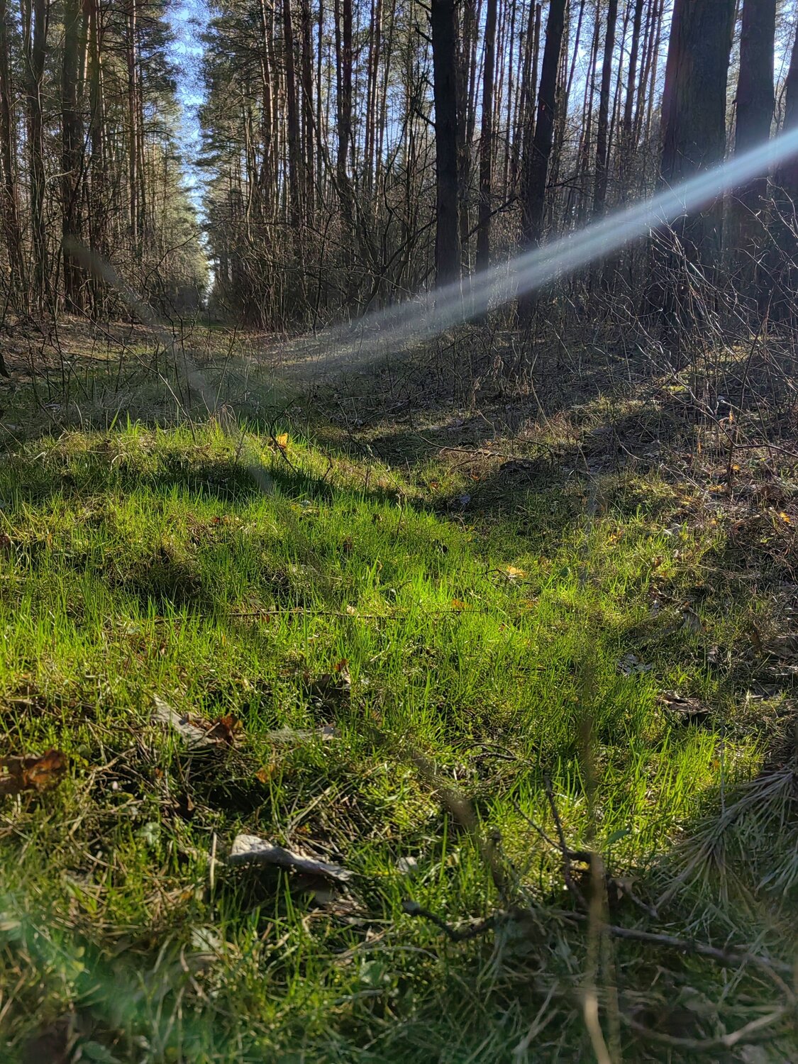 Photo #12106253