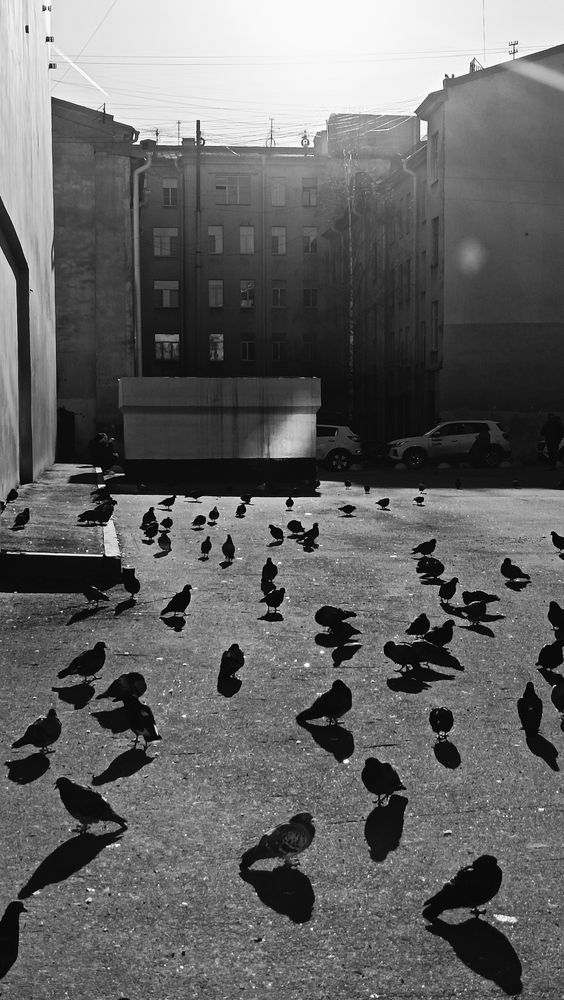Photo #12106466