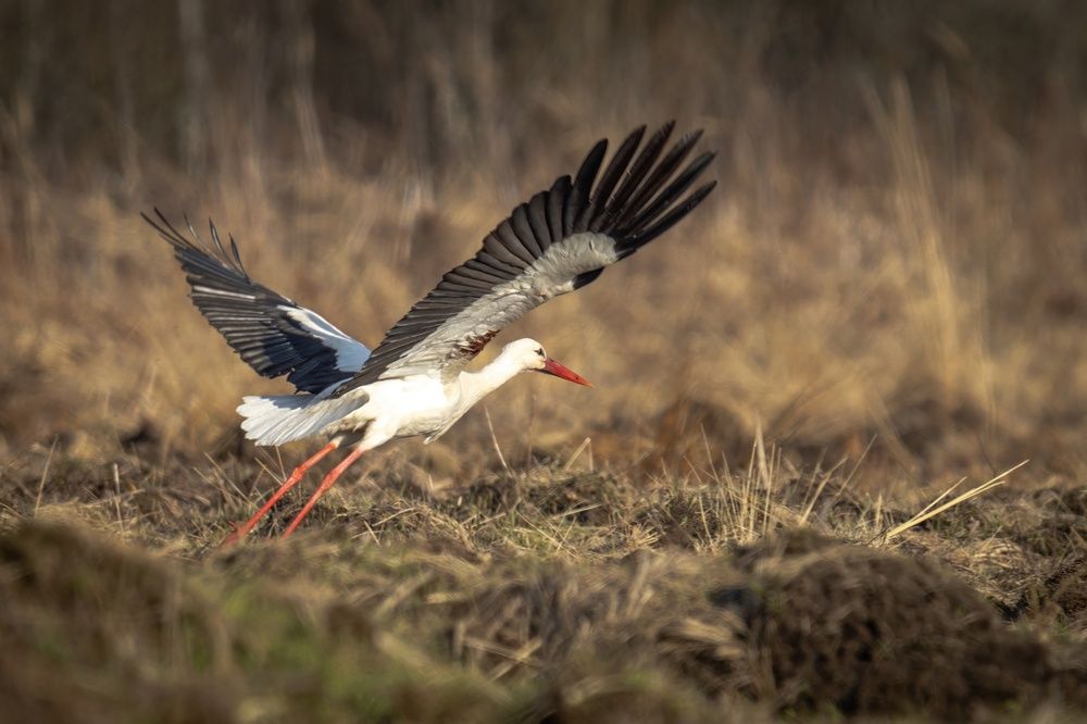 Photograph by Хабаров Сергей