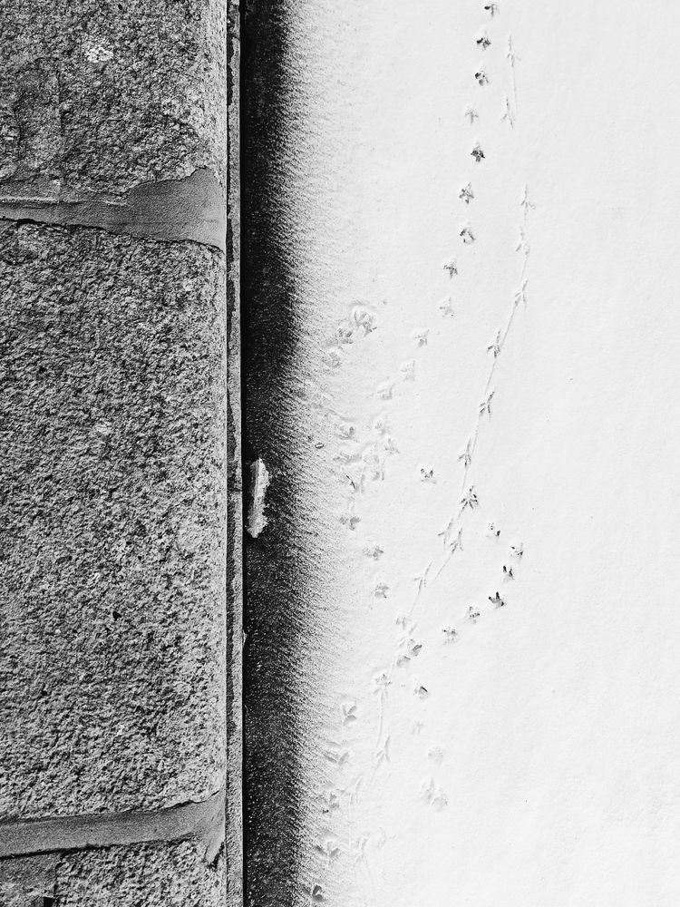 Photo #12106479