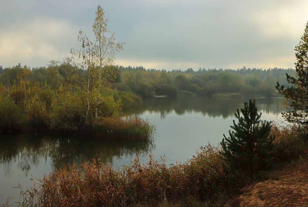 Безмолвие.