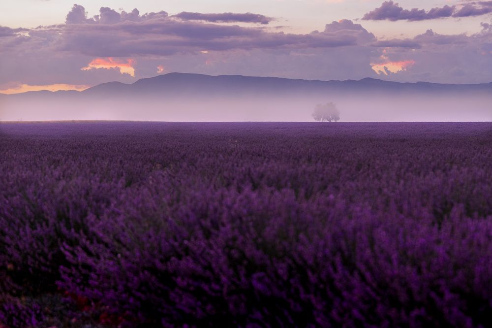 Photograph by Acrement Valentina