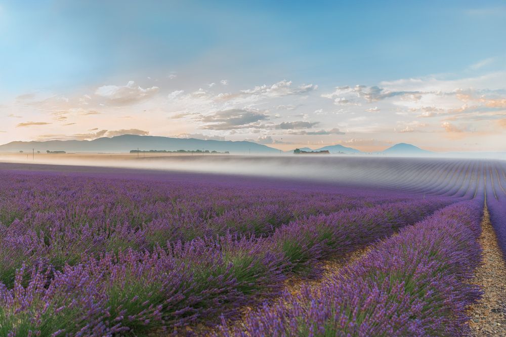 Photograph by Acrement Valentina