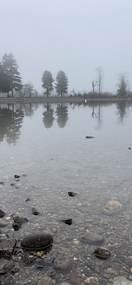 Фотография автора Diana