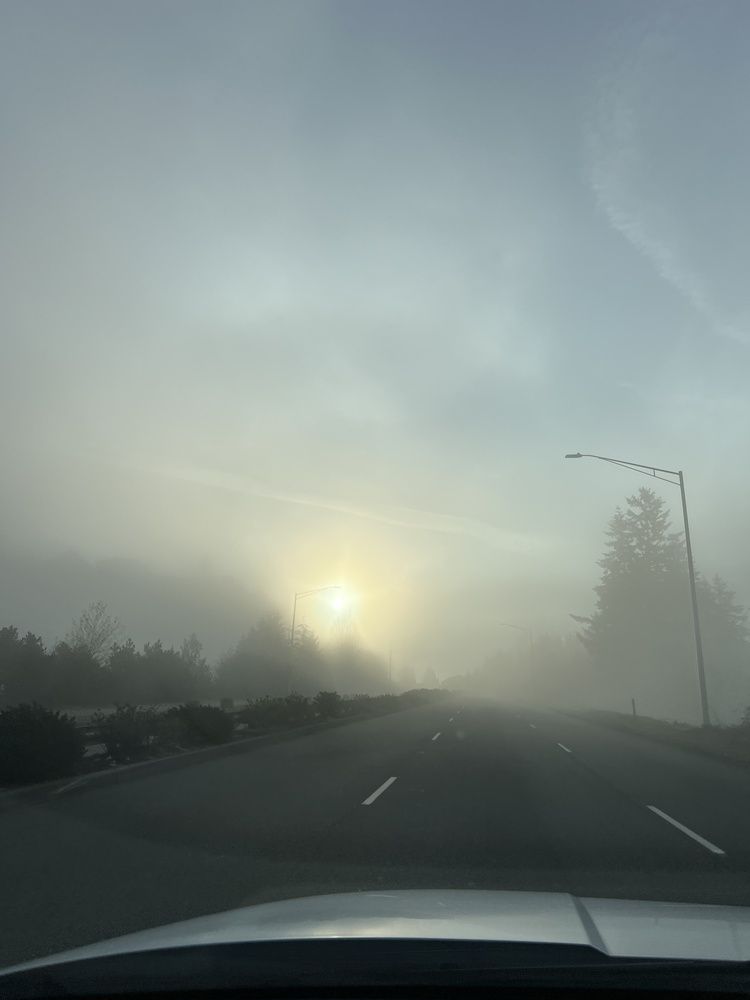 Фотография автора Diana