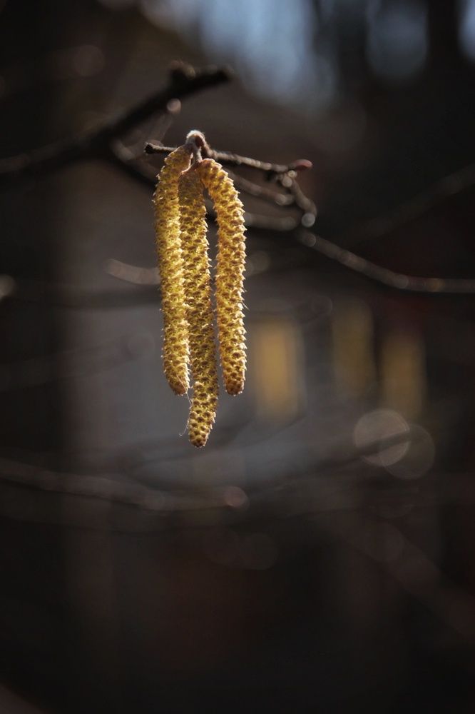 Photograph by Елена Силантьева