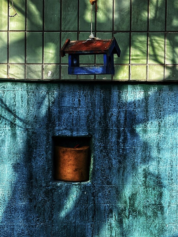 Фотография автора Татьяна Буянова