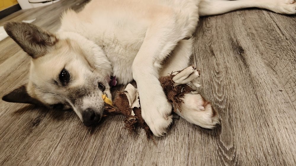 Photo #12107384