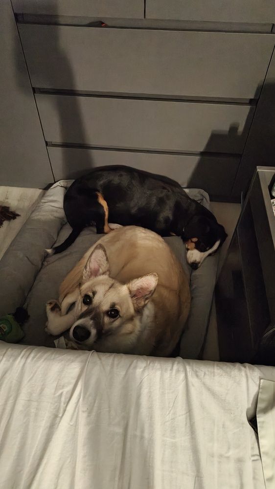 Photo #12107393