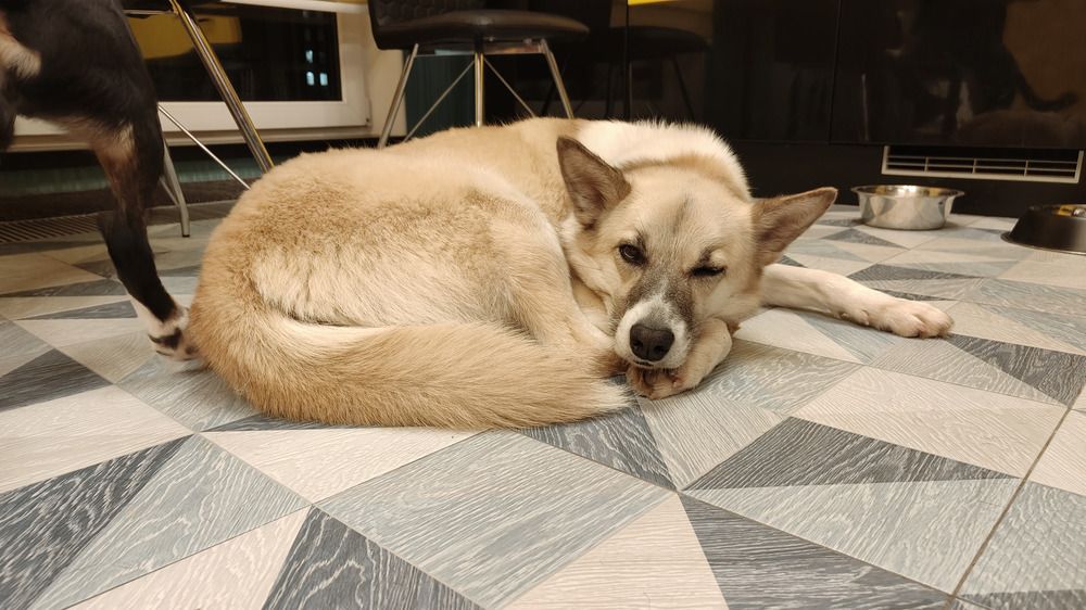 Photo #12107397