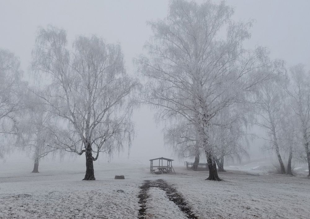 Photograph by Наталья Маврина