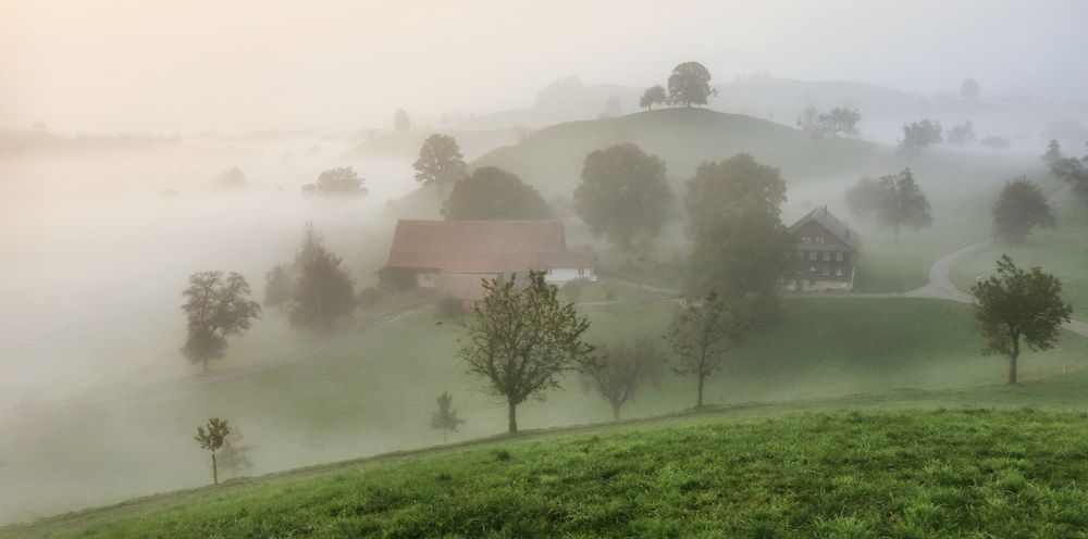Фотография автора Галина Хвостенко