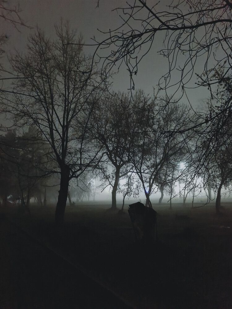 Photograph by Наталья Маврина