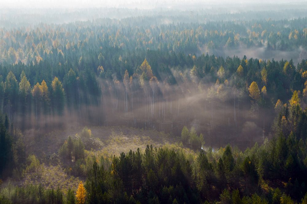 Photograph by Воинков Виктор