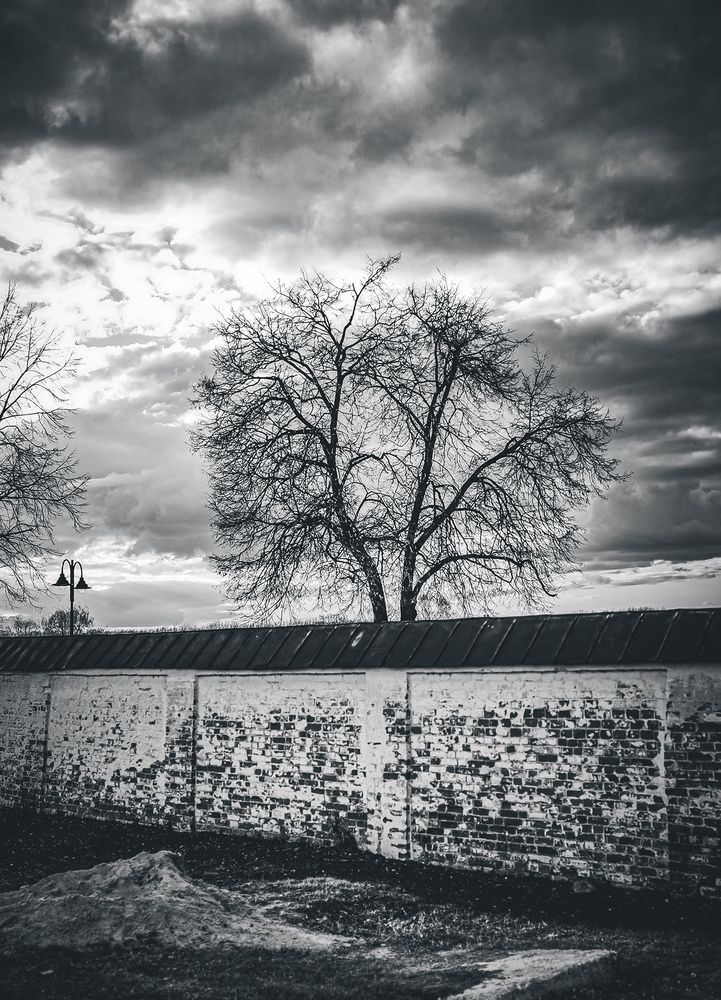 Photograph by Алиса Малая