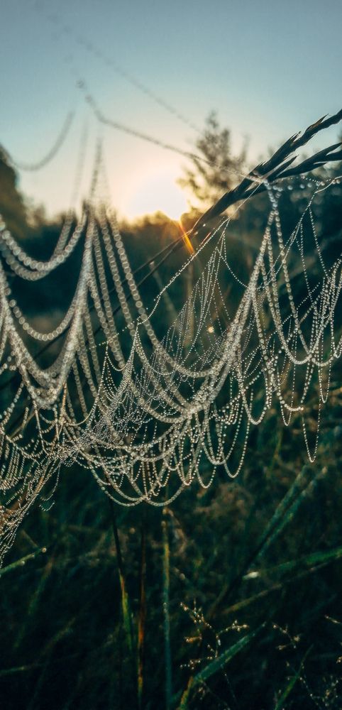 Photograph by Наталья Клячина