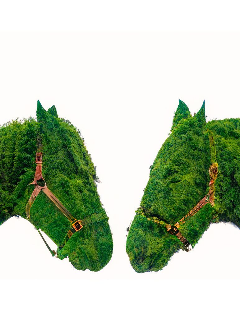 Photograph by Елена Март