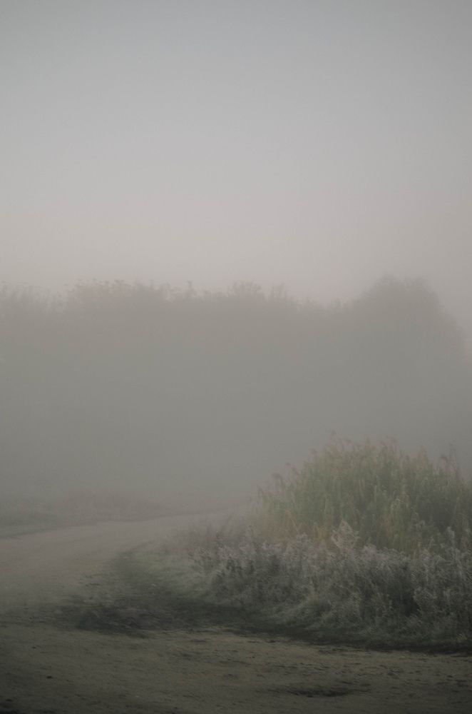 Photograph by Ксения Рябухина