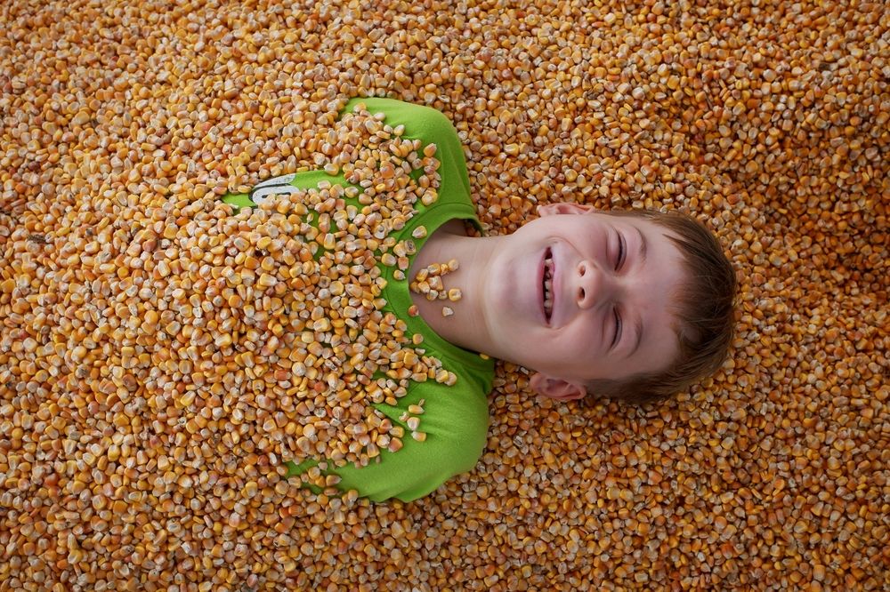 Photograph by Зорин Миша