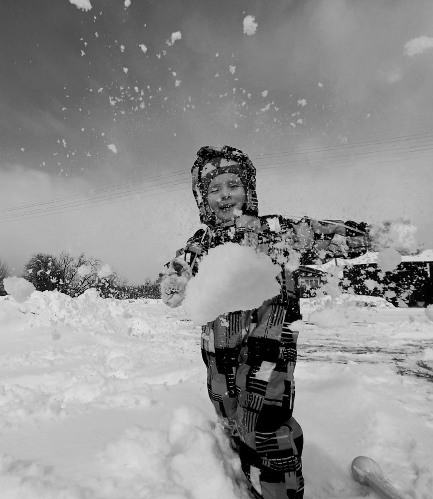 Photo #12107746