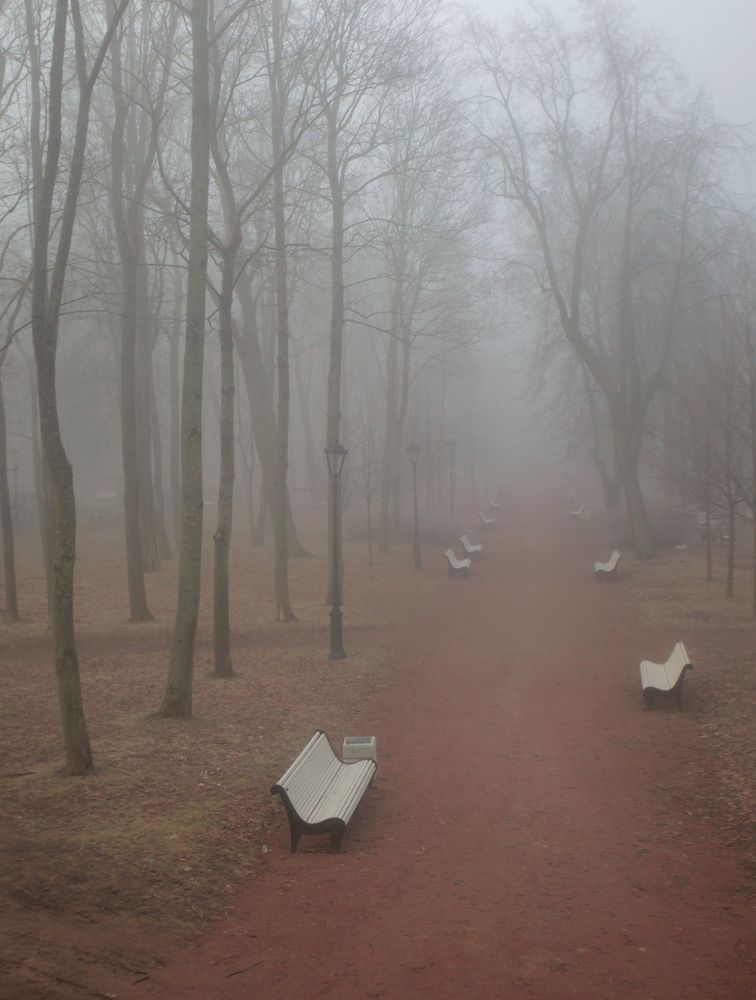 Photograph by Сергей Григорьев