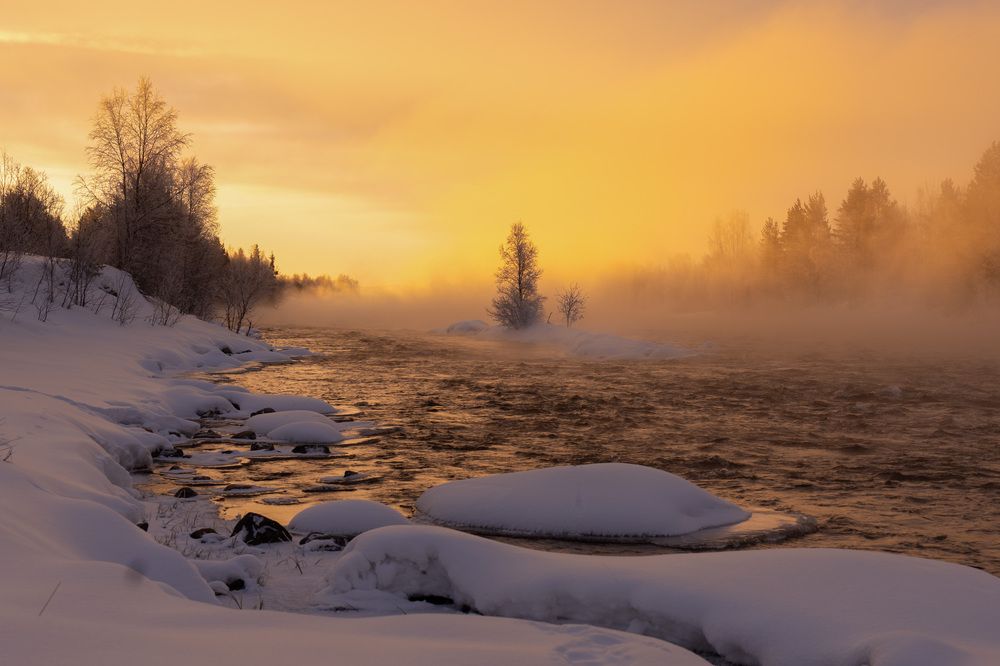 Photograph by Светлана Зимина