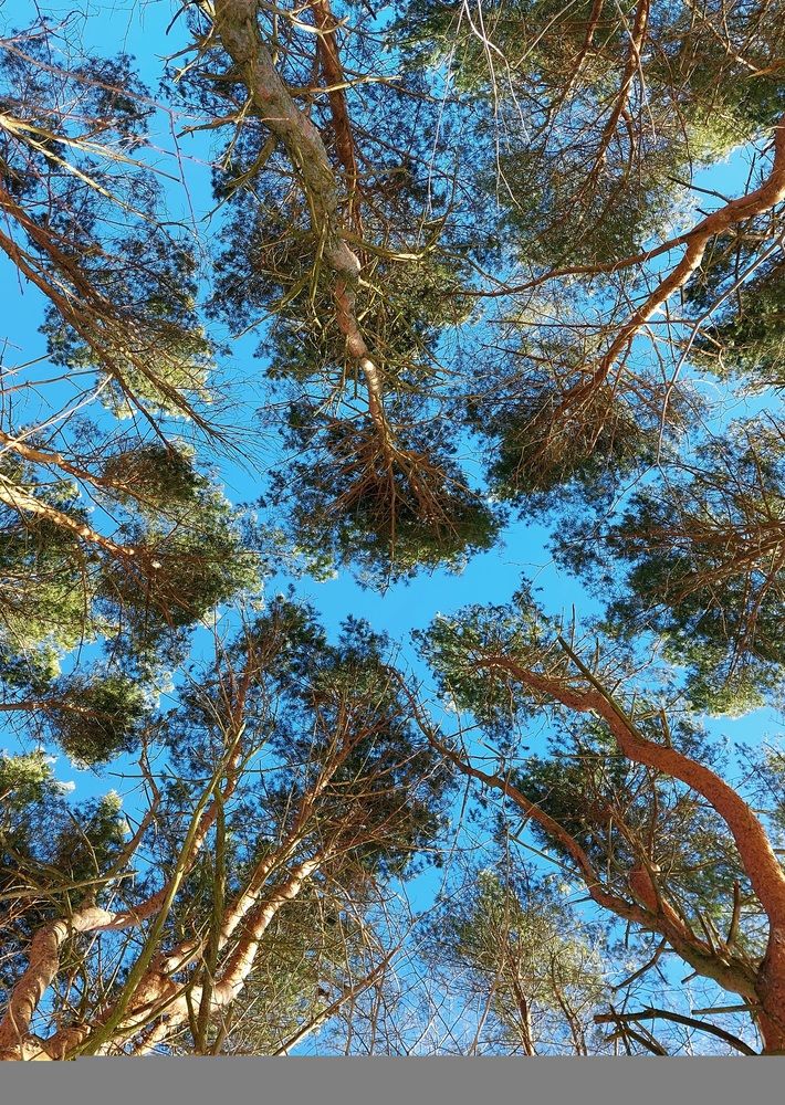 Photograph by Колесов Сергей