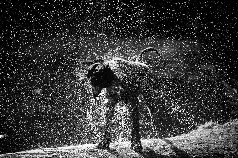 Photograph by Tatiana Piskun