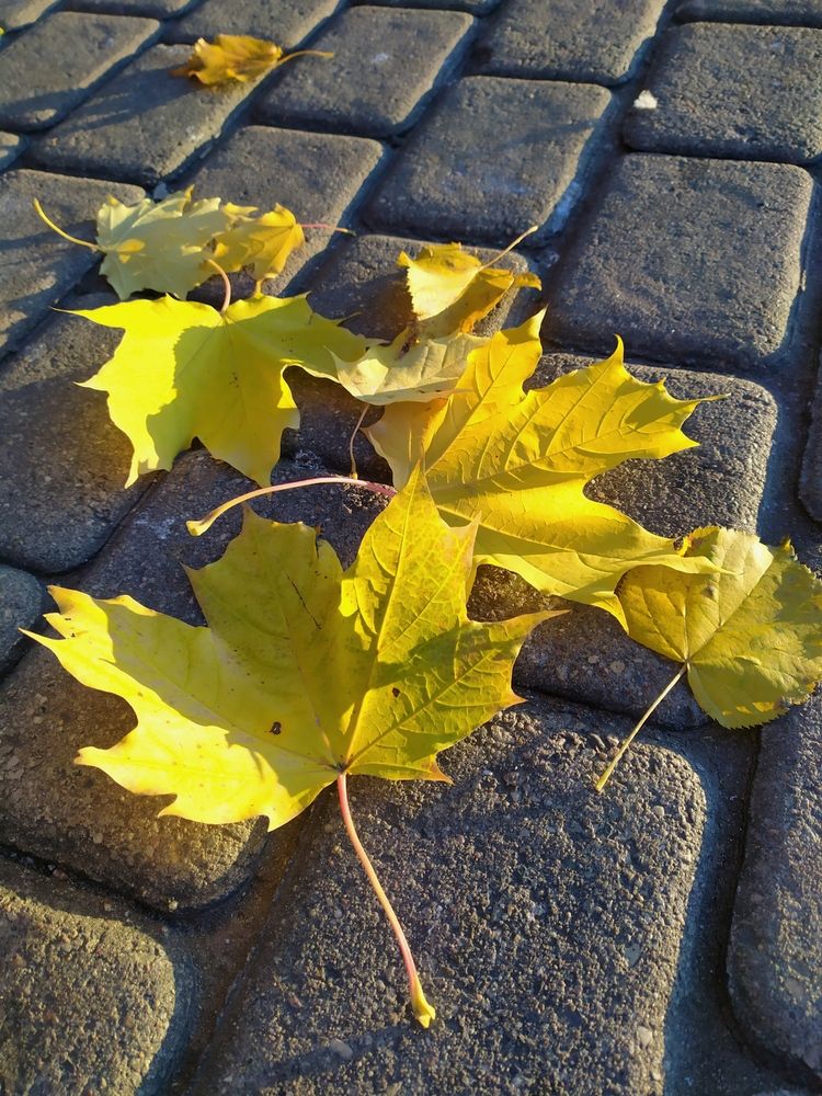 Photograph by Колесов Сергей