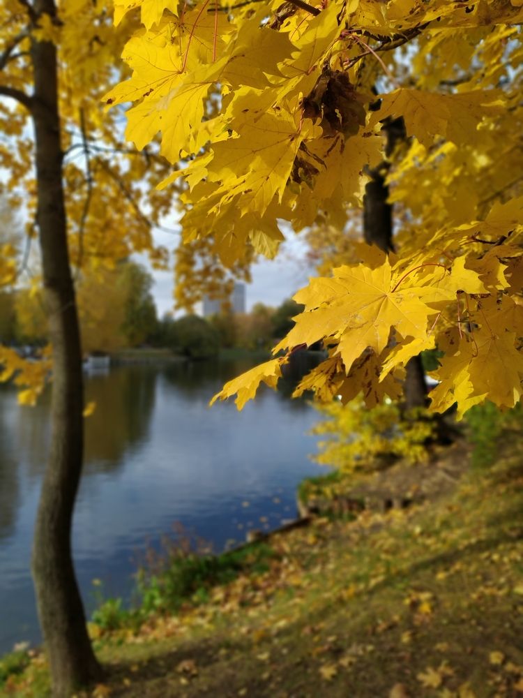 Photograph by Колесов Сергей